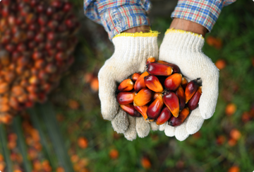 Skutečná síla antioxidantů: Proč kombinovat astaxanthin s vitamínem E?