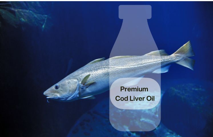 Objavte Liquid Omega 3 - kvalita do poslednej molekuly od prémiového oleja z treščej pečene po organické citrusové esenciálne oleje