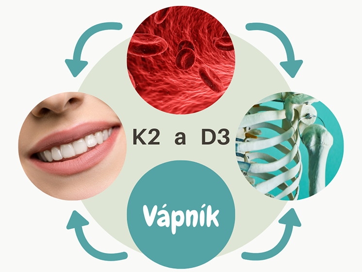 Synergická súhra medzi vitamínmi D3 a K2