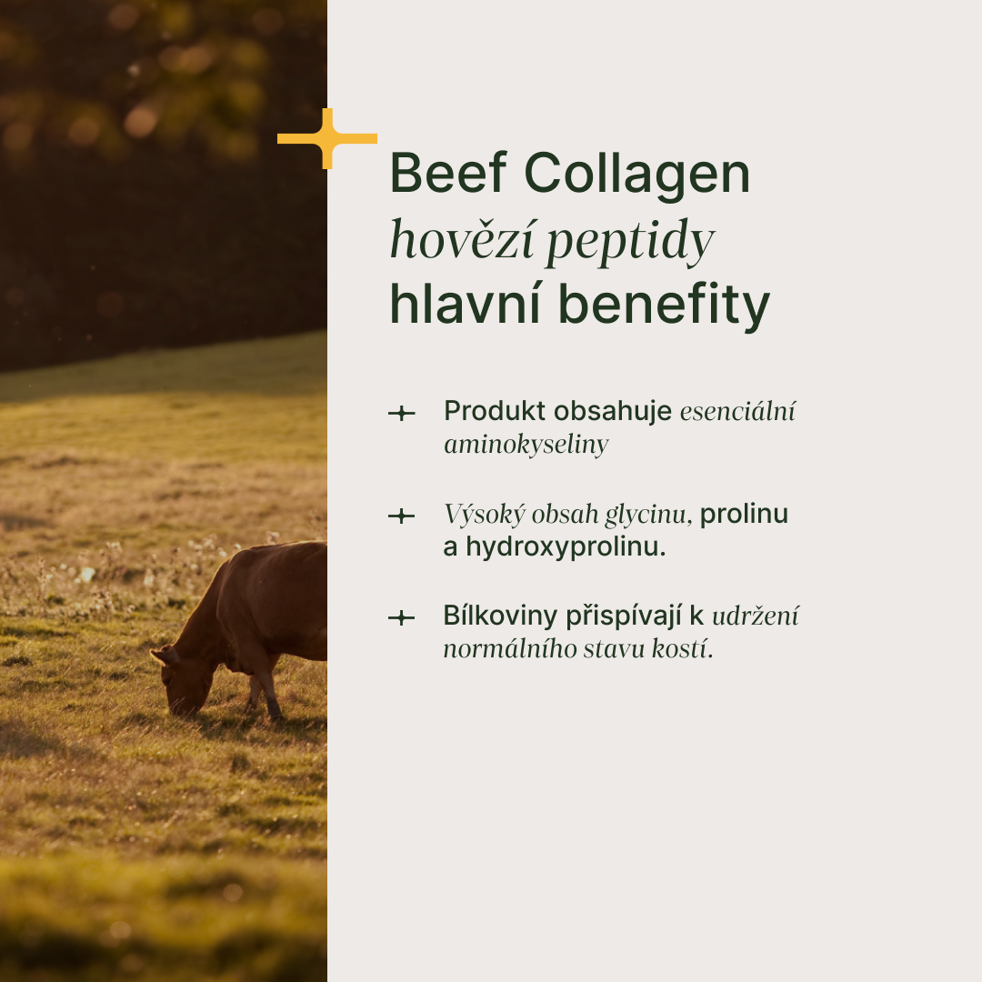 Hydrolyzed Beef Collagen