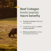 Hydrolyzed Beef Collagen