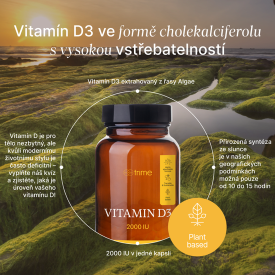 Vitamín D3 2000 IU z mořské řasy Algae pro imunitu, zdravé zuby a kosti, veganský bez GMO