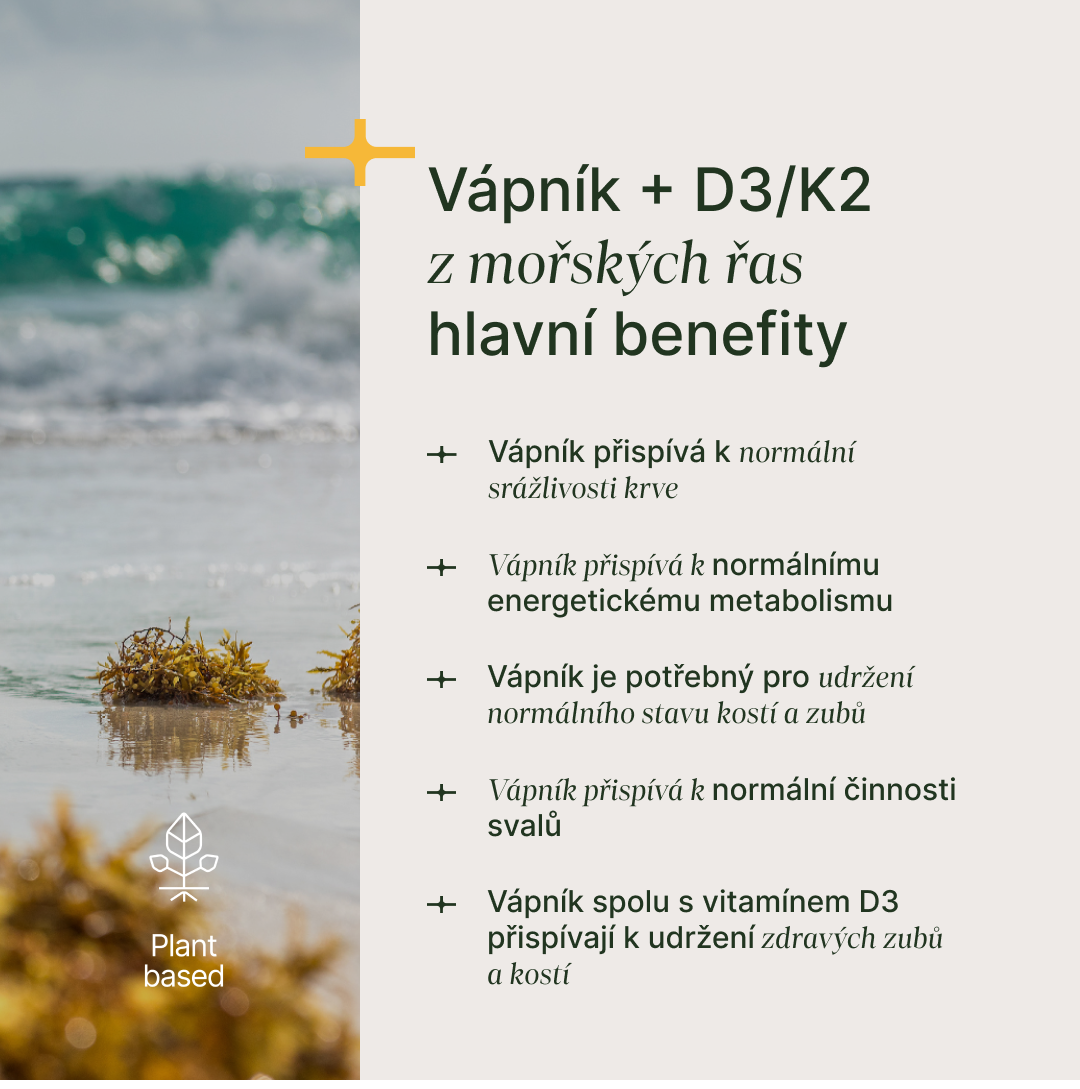 prášek z volně rostoucích řas Lithothamnion s vitamíny D3 a K2 pro zdraví kostí