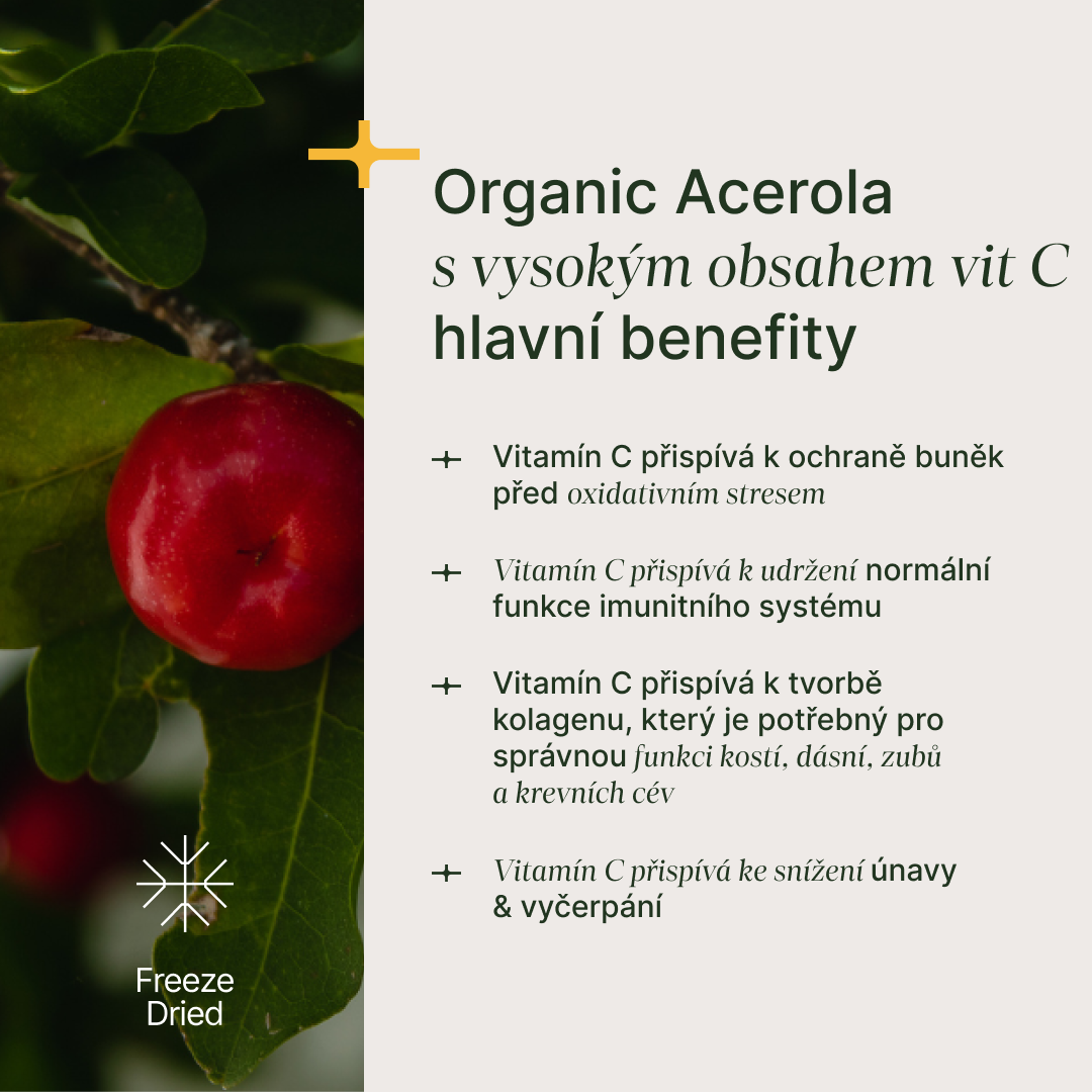 Organická Acerola 100 % mrazem sušený prášek s vysokým obsahem vitamínu C bez přidaných aditiv