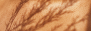 skin detail