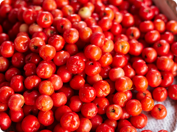 acerola_detail