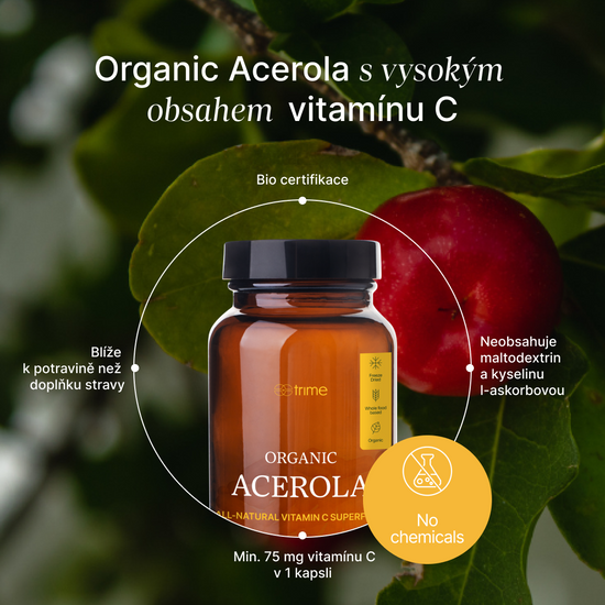 Organic Acerola – 100 % čistý BIO mrazem sušený prášek z třešně Acerola bohatý na vitamín C bez aditiv