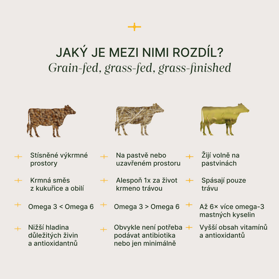 Mrazem sušená hovězí játra z volně se pasoucího skotu v kapslích s vitaminy A, B12, železem a zinkem.